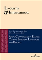 Agnes Kim, Luka Szucsich, Uliana Yazhinova - Areal Convergence in Eastern Central European Languages and Beyond