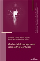 María José Álvarez-Faedo, Maurizi Ascari, Maurizio Ascari, Seren Baiesi, Serena Baiesi, Davi Levente Palatinus... - Gothic Metamorphoses across the Centuries