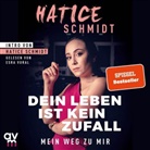 Hatice Schmidt, Esra Vural - Dein Leben ist kein Zufall, 1 Audio-CD, MP3 (Audiolibro)