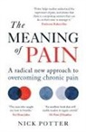 Nick Potter, Potter Nick - The Meaning of Pain