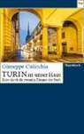 Giuseppe Culicchia - Turin ist unser Haus