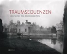 Leo Seidel - Traumsequenzen