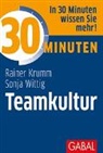 Rainer Krumm, Sonja Wittig - Teamkultur