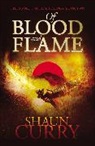 Shaun Curry - Blood and Flame