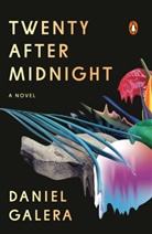Danie Galera, Daniel Galera, Julia Sanches - Twenty After Midnight