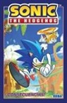 Ian Flynn, Jennifer Hernandez, Evan Stanley, Adam Bryce Thomas, Tracy Yardley, Jennifer Hernandez... - Sonic the Hedgehog, Vol. 1: cConsecuencias Sonic The Hedgehog, Vol
