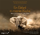 François Malby-Anthony, Françoise Malby-Anthony, Katja Willemsen - Ein Elefant in meiner Küche, Audio-CD (Hörbuch)