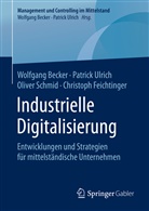 Wolfgan Becker, Wolfgang Becker, Christoph Feichtinger, Oliver Schmid, Oliver u Schmid, Patric Ulrich... - Industrielle Digitalisierung