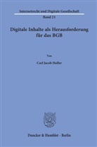 Carl J. Haller, Carl Jacob Haller - Digitale Inhalte als Herausforderung für das BGB