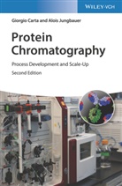 Giorgi Carta, Giorgio Carta, Alois Jungbauer - Protein Chromatography