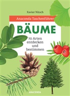 Xavier Nitsch - Anaconda Taschenführer Bäume. 70 Arten entdecken und bestimmen  -