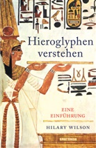 Hilary Wilson - Hieroglyphen verstehen. Eine Einführung