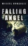 Miguel Gonzalez - Falling Angel