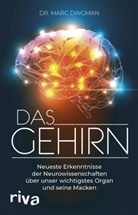Marc Dingman - Das Gehirn