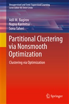 Adi Bagirov, Adil Bagirov, Adil M. Bagirov, Naps Karmitsa, Napsu Karmitsa, Adi M Bagirov... - Partitional Clustering via Nonsmooth Optimization