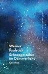 Werner Faulstich - Schneegestöber im Dämmerlicht