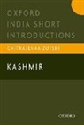 Chitralekha Zutshi - Kashmir