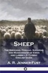 A. R. Jenner-Fust - Sheep