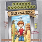 Christian Tielmann, Oliver Rohrbeck - Freaky Fahrstuhl 1: Goldrausch, Digga!, 1 Audio-CD (Hörbuch)