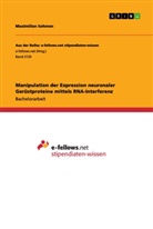 Maximilian Sohmen - Manipulation der Expression neuronaler Gerüstproteine mittels RNA-Interferenz
