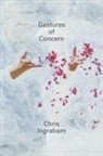 Chris Ingraham - Gestures of Concern