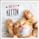 Charlie Ellis, Ellis Charlie - Love is a Kitten