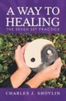 Charles J. Shovlin - A Way to Healing