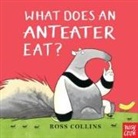 Ross Collins, Ross Collins - What Does an Anteater Eat?