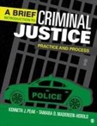 Tamara D Herold, Tamara D D Herold, Tamara D. Herold, Tamara D. Madensen-Herold, Kenneth J Peak, Kenneth J J Peak... - A Brief Introduction to Criminal Justice