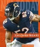 Jim Whiting - The Story of the Chicago Bears
