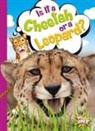 Gail Terp - Is It a Cheetah or a Leopard?