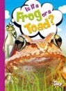 Gail Terp - Is It a Frog or a Toad?