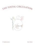 Alan Gilchrist - The Foetal Circulation