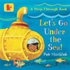 Peter Horacek, Petr Horacek, Petr Horácek, Petr Horacek, Petr Horácek - Let's Go Under the Sea