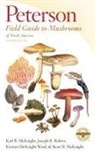 Karl B. McKnight, Kent H. McKnight, Kirsten McKnight Ward, Joseph R. Rohrer, Kirsten McKnight Ward - Peterson Field Guide to Mushrooms of North America, Second Edition