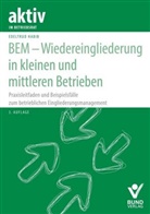 Edeltrud Habib - BEM - Wiedereingliederung in kleinen und mittleren Betrieben