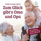 Brigitte Zwenger-Balink, Nadja Schulz-Berlinghoff - Zum Glück gibt's Oma und Opa, Audio-CD (Hörbuch)