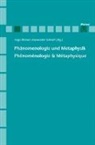 Ing Römer, Inga Römer, Schnell, Alexander Schnell - Phänomenologie und Metaphysik / Phénoménologie & Métaphysique