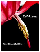 Carina Klasson - Reflektioner