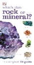 DK, Phonic Books - What''s That Rock Or Mineral?