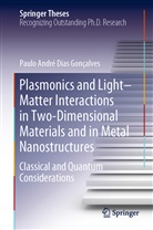 Paulo André Dias Gonçalves - Plasmonics and Light-Matter Interactions in Two-Dimensional Materials and in Metal Nanostructures