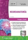 Dr. Douglas J. Gould - Serie Rt. Neuroanatomia
