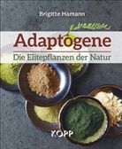 Brigitte Hamann - Adaptogene - Die Elitepflanzen der Natur