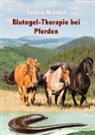 Sabine Krämer - Blutegel-Therapie bei Pferden