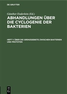 Günther Enderlein, Günther Enderlein - Abhandlungen über die Cyclogenie der Bakterien - Heft 1: Über die Grenzgebiete zwischen Bakterien und Prototen