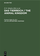 Deutsche Zoologische Gesellschaft, Maximilian Fischer, Ermanno Giglio-Tos, K. Heidel, R. Hesse, W. Kükenthal... - Das Tierreich / The Animal Kingdom - Lfg. 50: Orthoptera. Mantidae