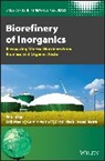 E Meers, Erik Velthof Meers, Erik Meers, Evi Michels, Michels Evi, Rene Rietra... - Biorefinery of Inorganics