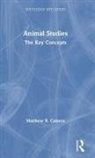 Calarco, Matthew R Calarco, Matthew R. Calarco, Matthew R. (California State University Calarco - Animal Studies