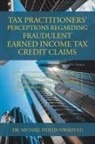 Michael Fidelis-Nwaefulu - Tax Practitioners Perceptions Regarding Fraudulent Earned Income Tax