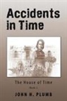 John H. Plumb - Accidents in Time